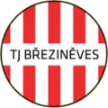 TJ Březiněves