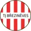 TJ Březiněves