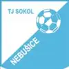 TJ Sokol Nebušice