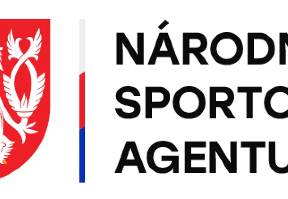 Přijatá dotace od NSA