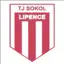 TJ Sokol Lipence "B"